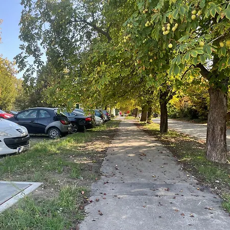 Prázdninový dům Nosztalgia Vendeghaz A Velencei-tonal